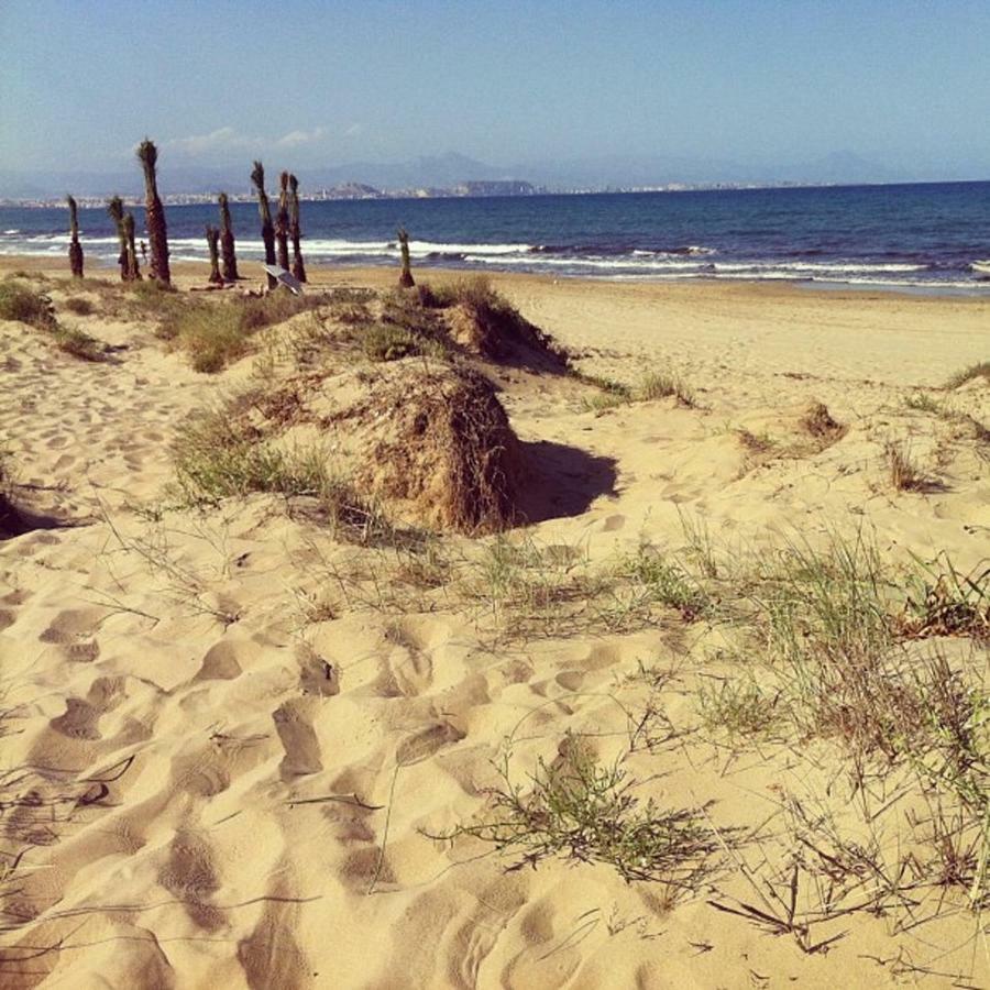Alojamiento El Altet Playa Exterior photo